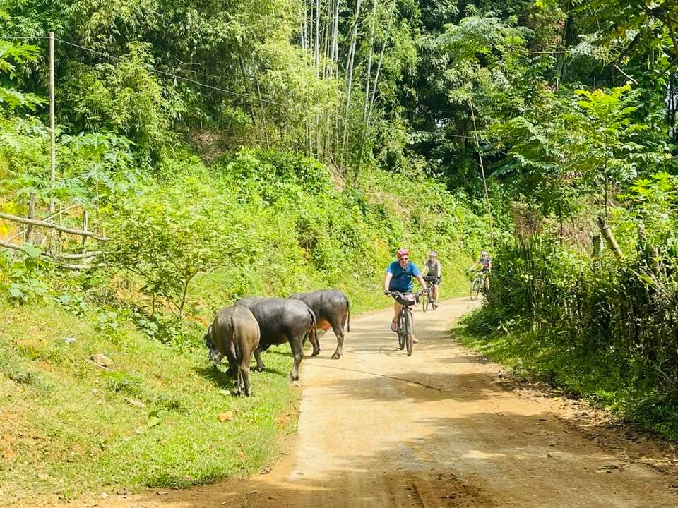 Northern Vietnam Cycle Trip 7 Days